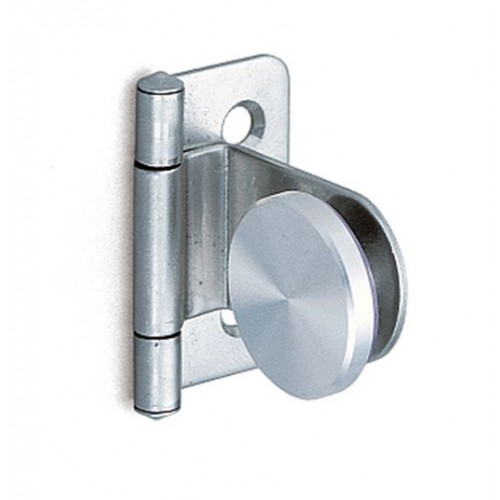 Inset Glass Door Hinge